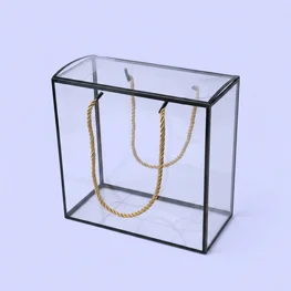 קופסת PVC שקופה עם מסגרת שחורה 20/20 קופסת PVC שקופה עם מסגרת שחורה 20/20